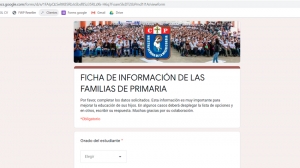 Ficha de informaci&oacute;n de las familias de primaria